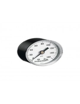 ASHCROFT 20 W 1005 H 01B 100