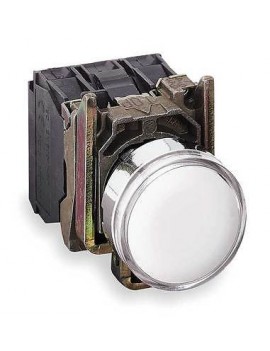 TELEMECANIQUE XB4BW31G5 