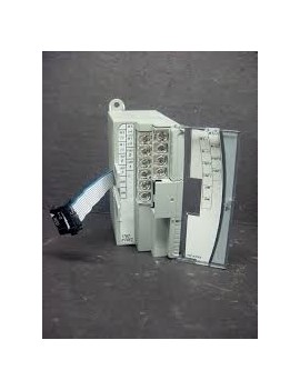ALLEN BRADLEY 1762-IF2OF2