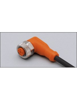 IFM 	EVC006