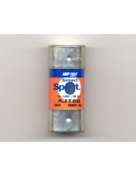 FERRAZ SHAWMUT AJT60