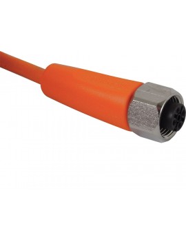 IFM EVT002