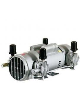 COMPRESOR GAST 7HDD-10-M750X