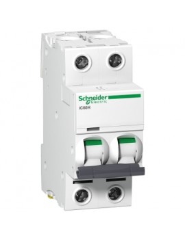 SCHNEIDER A9F54210